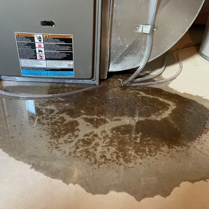 Appliance Leak Cleanup in Laurel Lake, NJ